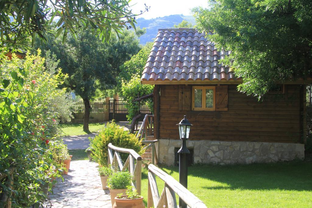 Cabanas Los Pinos Арройо-Фрио Экстерьер фото