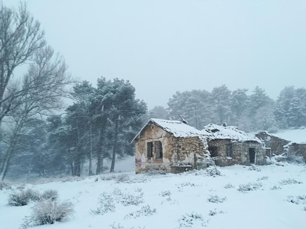 Cabanas Los Pinos Арройо-Фрио Экстерьер фото